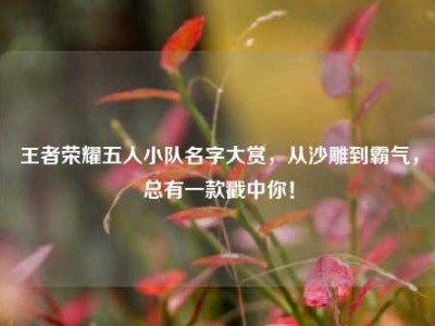 王者荣耀五人小队名字大赏，从沙雕到霸气，总有一款戳中你！