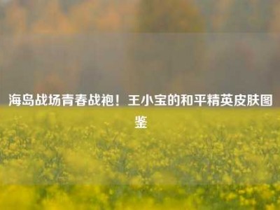海岛战场青春战袍！王小宝的和平精英皮肤图鉴