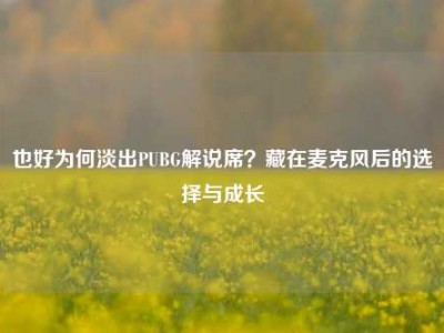 也好为何淡出PUBG解说席？藏在麦克风后的选择与成长