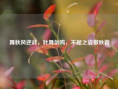 舞秋风逆战，叶舞剑鸣，不屈之姿傲秋霜
