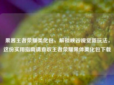 果酱王者荣耀美化包，解锁峡谷视觉新玩法，这份实用指南请查收王者荣耀果体美化包下载