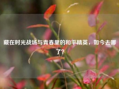 藏在时光战场与青春里的和平精英，如今去哪了？