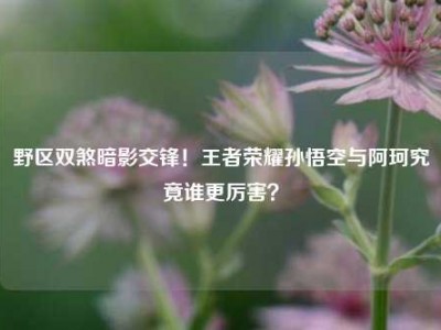 野区双煞暗影交锋！王者荣耀孙悟空与阿珂究竟谁更厉害？