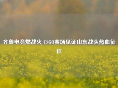 齐鲁电竞燃战火 CSGO赛场见证山东战队热血征程