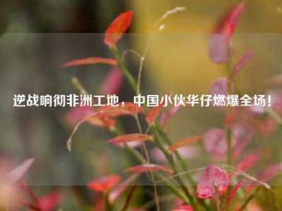 逆战响彻非洲工地，中国小伙华仔燃爆全场！