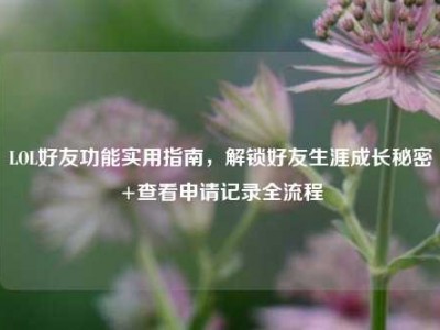 LOL好友功能实用指南，解锁好友生涯成长秘密+查看申请记录全流程