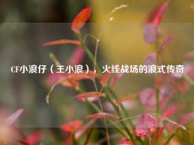 CF小浪仔（王小浪），火线战场的浪式传奇