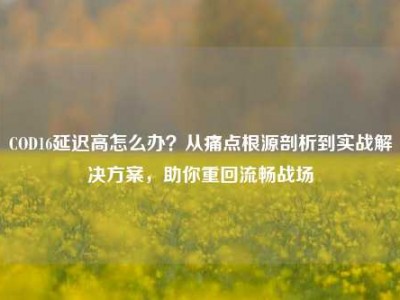 COD16延迟高怎么办？从痛点根源剖析到实战解决方案，助你重回流畅战场