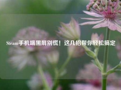 Steam手机端黑屏别慌！这几招帮你轻松搞定