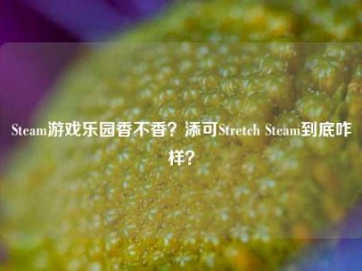 Steam游戏乐园香不香？添可Stretch Steam到底咋样？