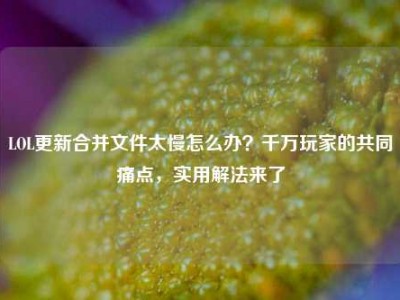 LOL更新合并文件太慢怎么办？千万玩家的共同痛点，实用解法来了