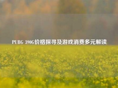 PUBG 390G价格探寻及游戏消费多元解读