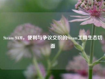 Steam SAM，便利与争议交织的Steam工具生态切面