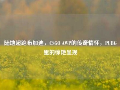 陆地超跑布加迪，CSGO AWP的传奇情怀，PUBG里的惊艳呈现