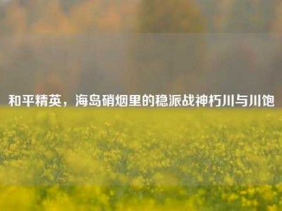 和平精英，海岛硝烟里的稳派战神朽川与川饱