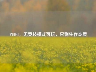 PUBG，无竞技模式可玩，只剩生存本质