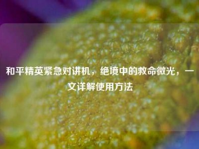 和平精英紧急对讲机，绝境中的救命微光，一文详解使用方法