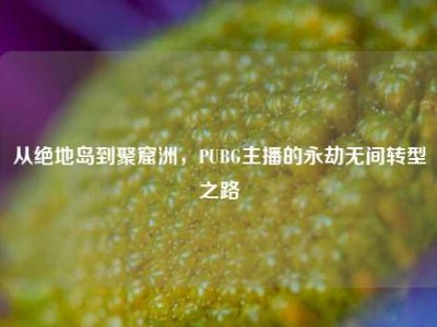 从绝地岛到聚窟洲，PUBG主播的永劫无间转型之路
