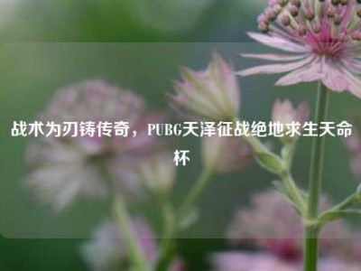 战术为刃铸传奇，PUBG天泽征战绝地求生天命杯