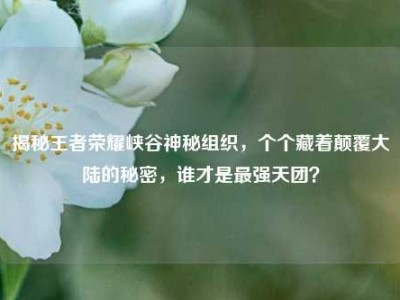 揭秘王者荣耀峡谷神秘组织，个个藏着颠覆大陆的秘密，谁才是最强天团？