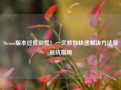 Steam版本过低别慌！一文教你快速解决方法及避坑指南