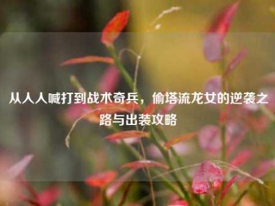 从人人喊打到战术奇兵，偷塔流龙女的逆袭之路与出装攻略