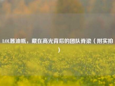 LOL酱油瓶，藏在高光背后的团队脊梁（附实拍）