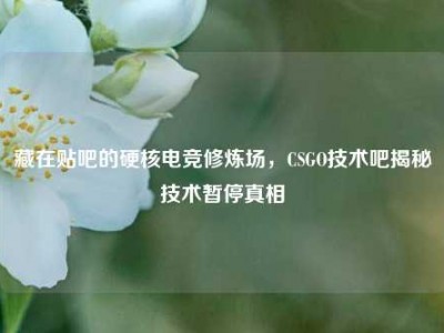 藏在贴吧的硬核电竞修炼场，CSGO技术吧揭秘技术暂停真相