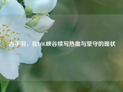 古手羽，在LOL峡谷续写热血与坚守的现状