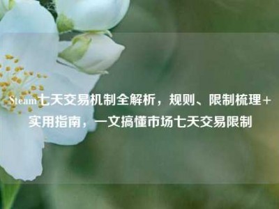 Steam七天交易机制全解析，规则、限制梳理+实用指南，一文搞懂市场七天交易限制