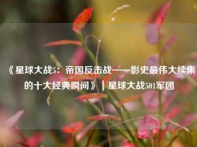 《星球大战5：帝国反击战——影史最伟大续集的十大经典瞬间》｜星球大战501军团