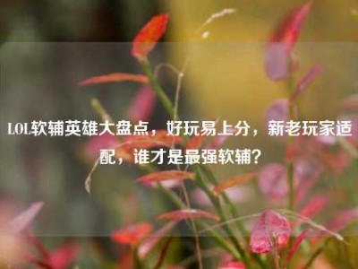 LOL软辅英雄大盘点，好玩易上分，新老玩家适配，谁才是最强软辅？