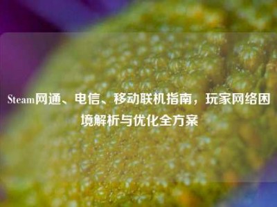 Steam网通、电信、移动联机指南，玩家网络困境解析与优化全方案