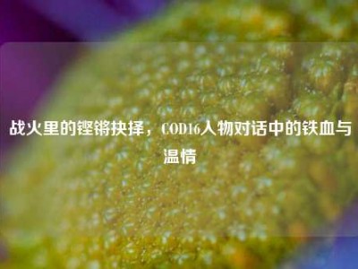 战火里的铿锵抉择，COD16人物对话中的铁血与温情