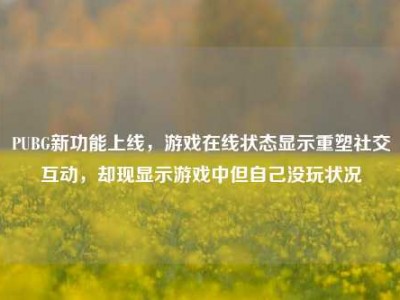 PUBG新功能上线，游戏在线状态显示重塑社交互动，却现显示游戏中但自己没玩状况