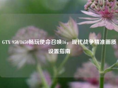 GTX 950/1650畅玩使命召唤16，现代战争精准画质设置指南