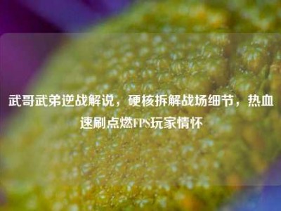 武哥武弟逆战解说，硬核拆解战场细节，热血速刷点燃FPS玩家情怀