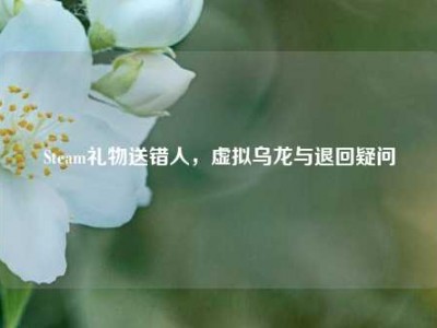 Steam礼物送错人，虚拟乌龙与退回疑问