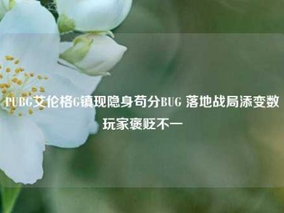 PUBG艾伦格G镇现隐身苟分BUG 落地战局添变数玩家褒贬不一