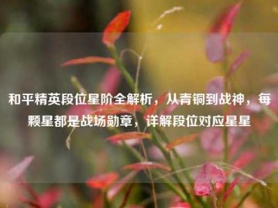 和平精英段位星阶全解析，从青铜到战神，每颗星都是战场勋章，详解段位对应星星