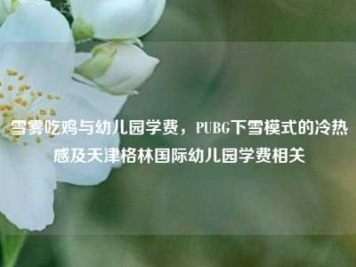 雪雾吃鸡与幼儿园学费，PUBG下雪模式的冷热感及天津格林国际幼儿园学费相关