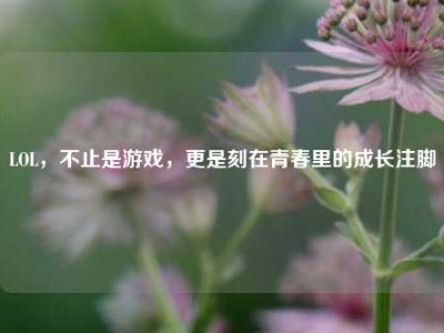 LOL，不止是游戏，更是刻在青春里的成长注脚
