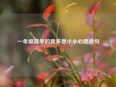 一年级简单的我多想小小心愿造句