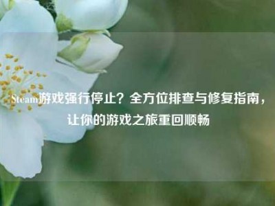 Steam游戏强行停止？全方位排查与修复指南，让你的游戏之旅重回顺畅