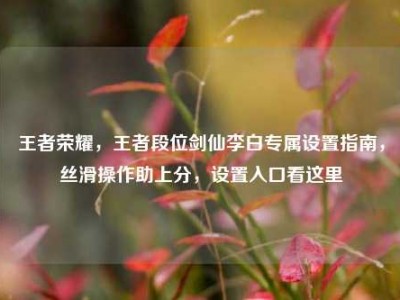 王者荣耀，王者段位剑仙李白专属设置指南，丝滑操作助上分，设置入口看这里
