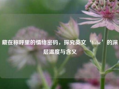 藏在称呼里的情绪密码，探究英文‘babe’的深层温度与含义