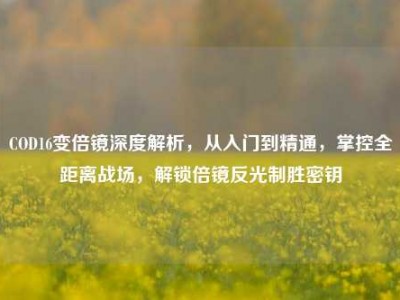 COD16变倍镜深度解析，从入门到精通，掌控全距离战场，解锁倍镜反光制胜密钥