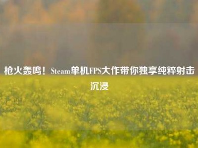枪火轰鸣！Steam单机FPS大作带你独享纯粹射击沉浸