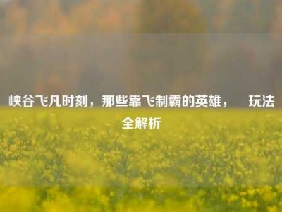 峡谷飞凡时刻，那些靠飞制霸的英雄，暃玩法全解析