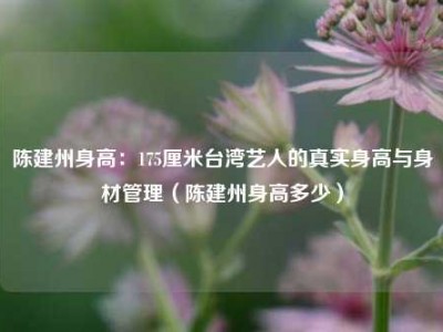 陈建州身高：175厘米台湾艺人的真实身高与身材管理（陈建州身高多少）